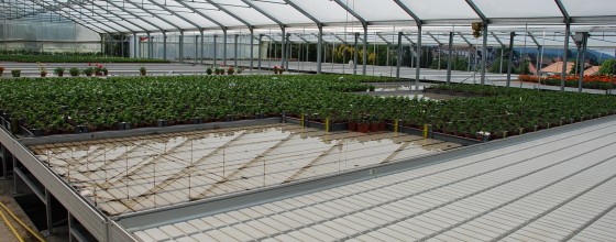Pflanzenproduktion Pflanzenproduktion
